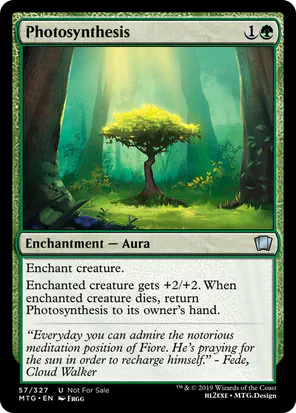 Card: Photosynthesis